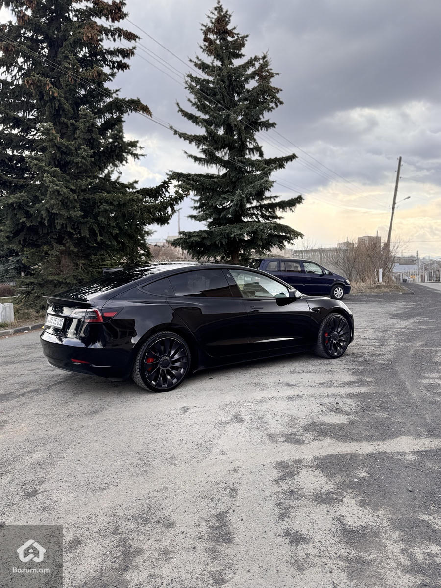 PERFORMANCE  - image 5