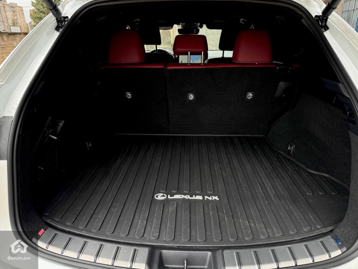 Lexus NX350 Luxury  - image 19