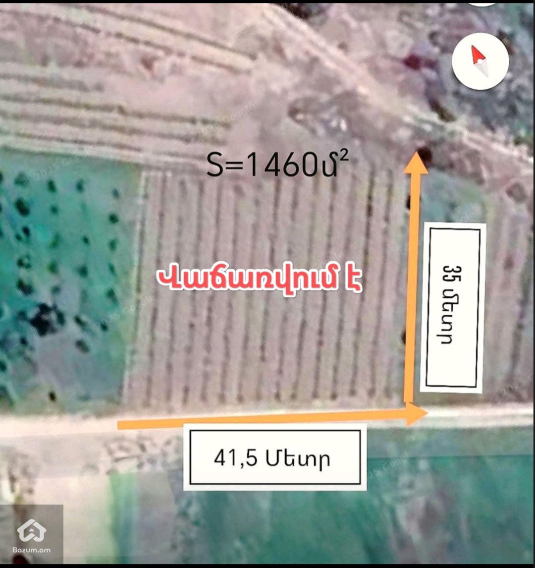 Տնամերձ հողատարածք  - image 2