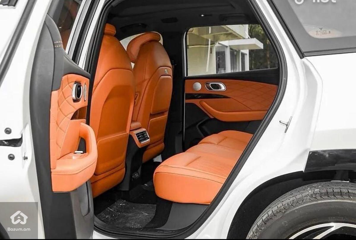 Hozon Neta L Hibrid - image 15