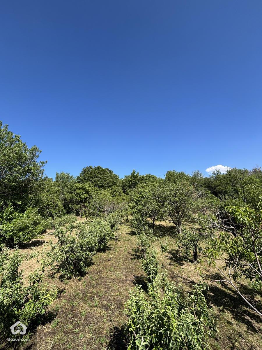Տնամերձ - image 3