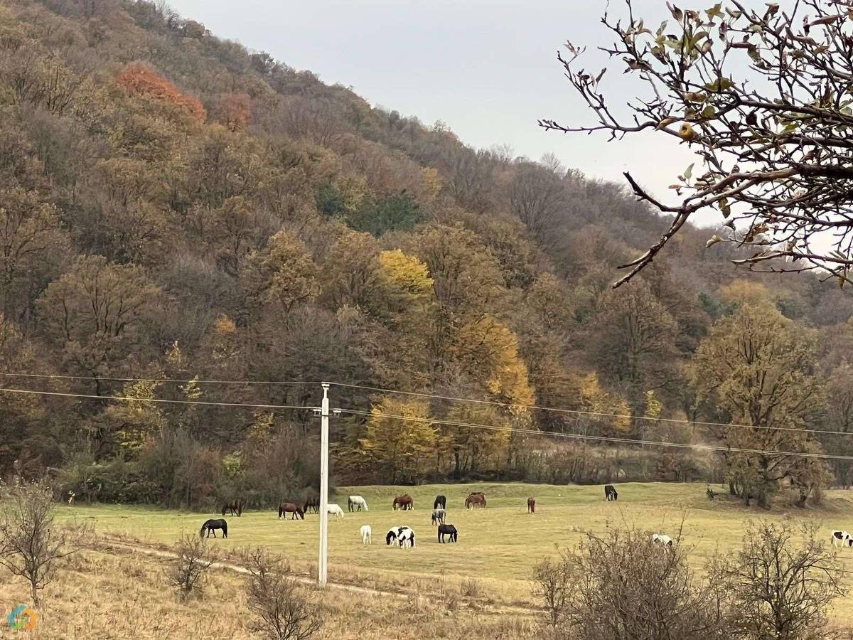 Ունենք հողեր կփոխանակենք  մեքենայի հետ093597760 - image 9